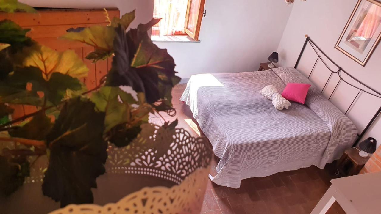Agriturismo Il Pillone Montecatini Terme Luaran gambar